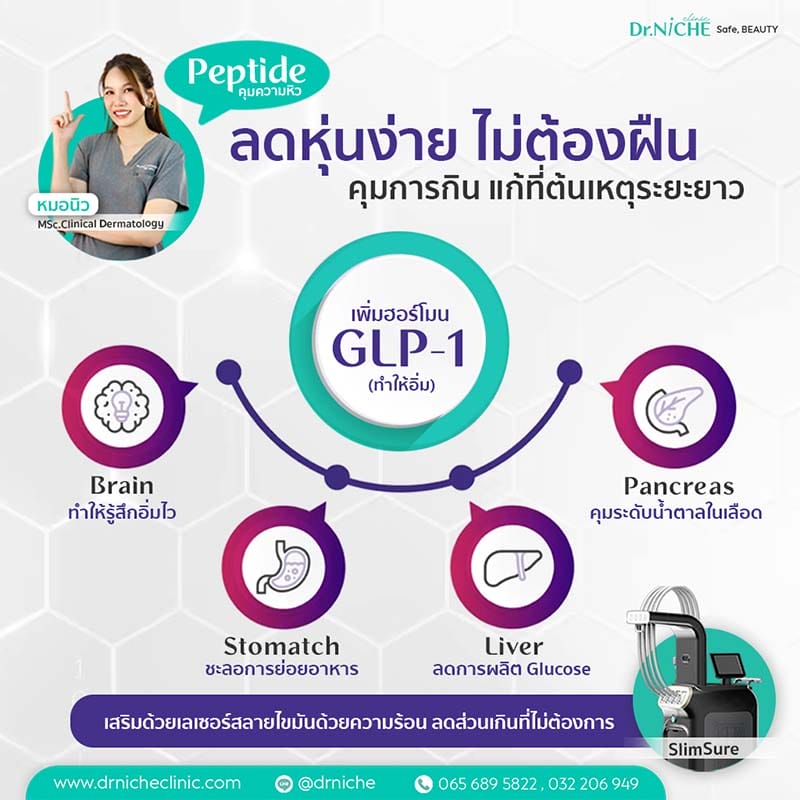 GLP-1 หรือ Glucagon-like peptide-1 ลดน้ำหนัก คุมความหิว